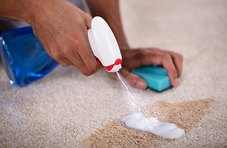 How to Remove Coffee Stains from Carpets